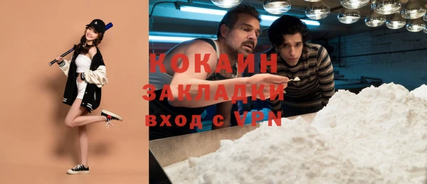 твердый Краснослободск