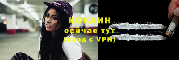 сатива Абаза