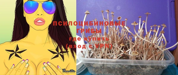 сатива Абаза