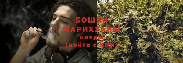 сатива Абаза