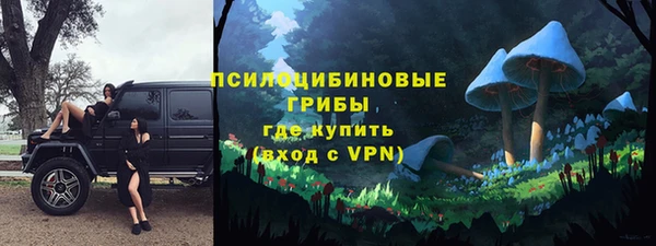 стаф Абинск