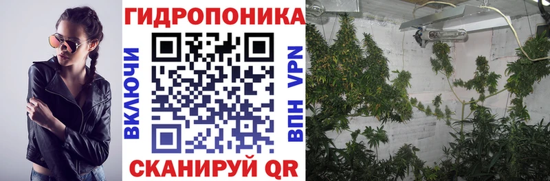 Бошки марихуана ГИДРОПОН  Краснозаводск 